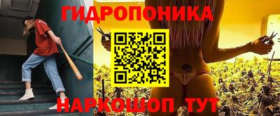 крисы Краснокаменск
