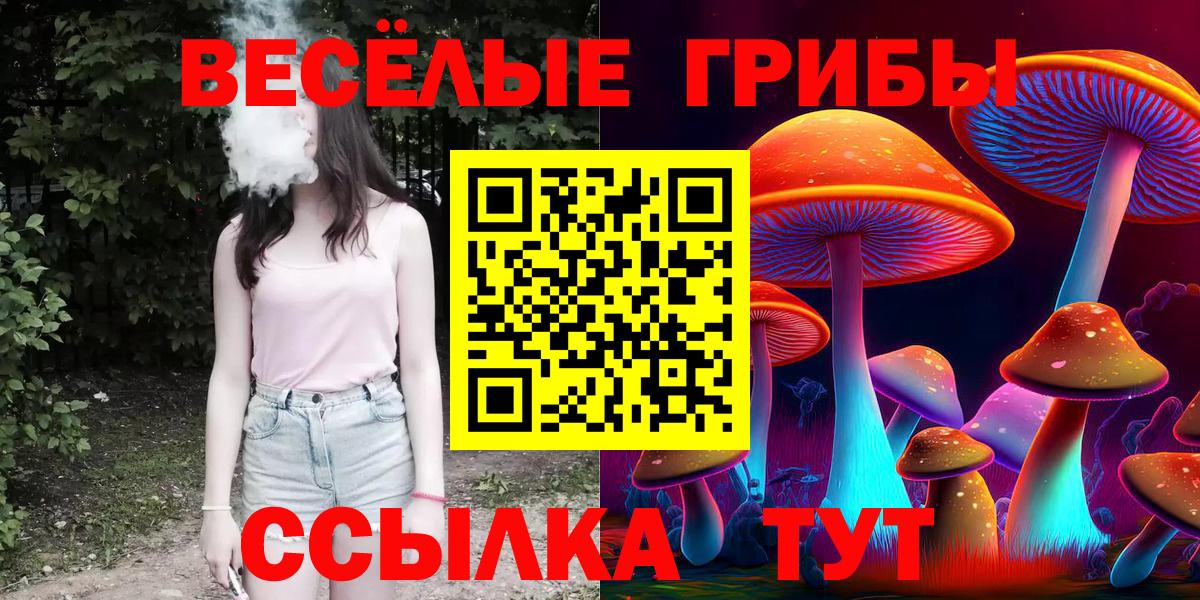 Кольчугино  Псилоцибиновые грибы Psilocybine cubensis  Вход с VPN 