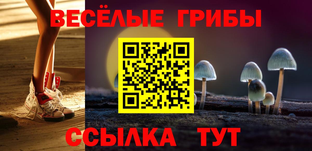 Псилоцибиновые грибы Cubensis Кольчугино